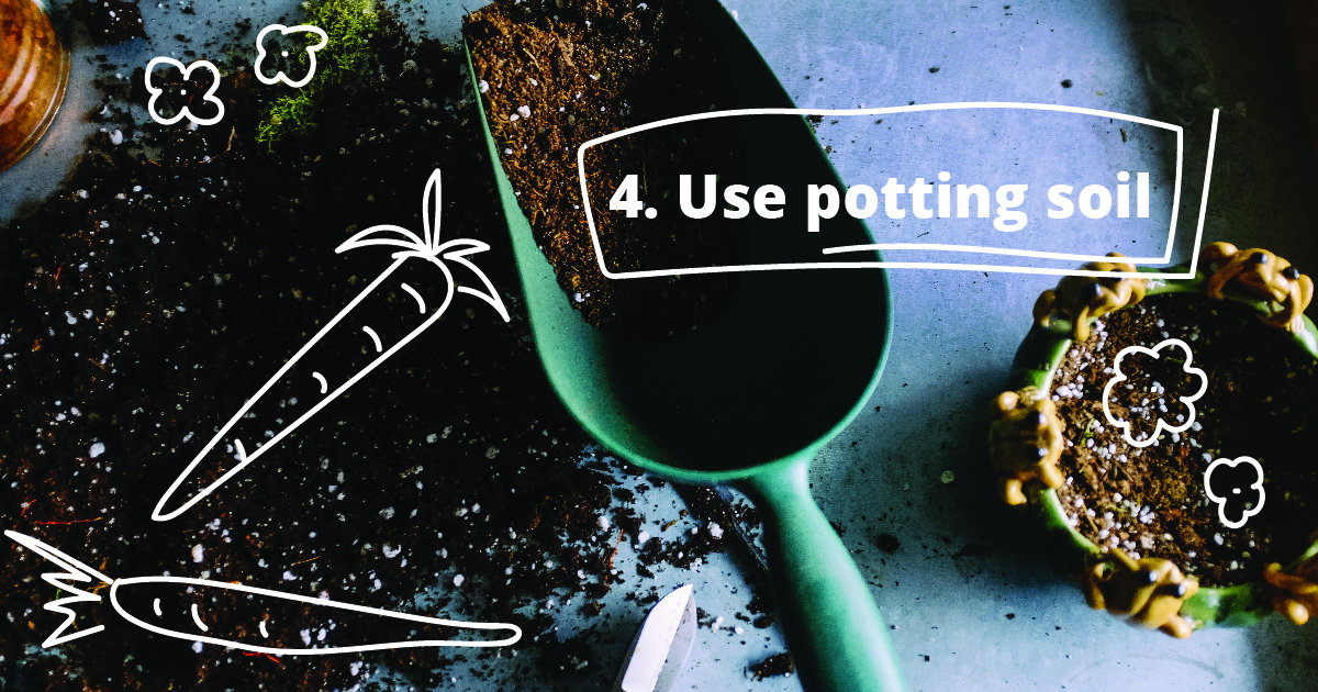 4. Use potting soil.